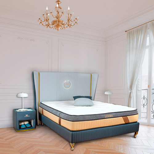 Luxury 4501